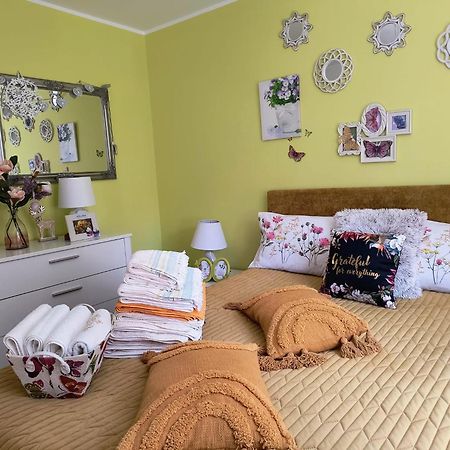 Sweet Butterflies Residence Брашов Екстериор снимка