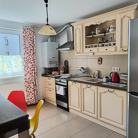 Sweet Butterflies Residence Брашов Екстериор снимка