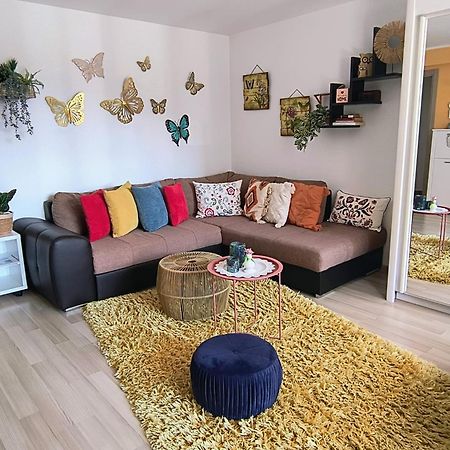 Sweet Butterflies Residence Брашов Екстериор снимка