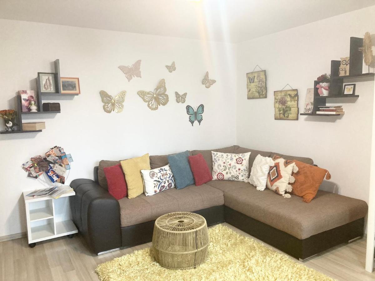 Sweet Butterflies Residence Брашов Екстериор снимка