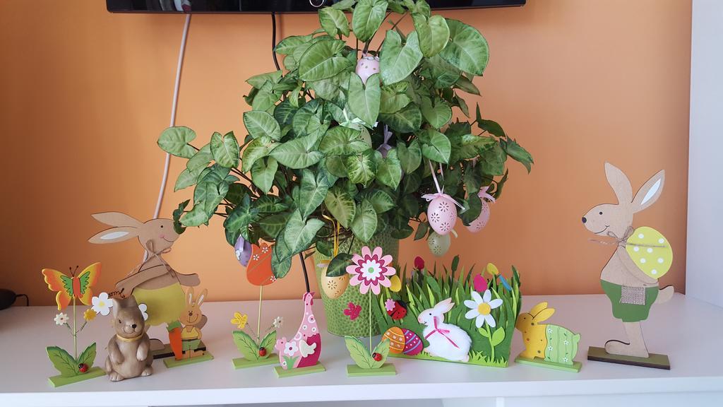 Sweet Butterflies Residence Брашов Екстериор снимка