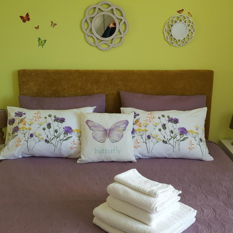 Sweet Butterflies Residence Брашов Екстериор снимка