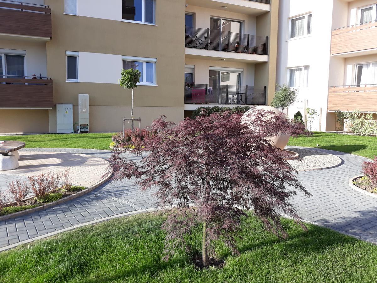 Sweet Butterflies Residence Брашов Екстериор снимка