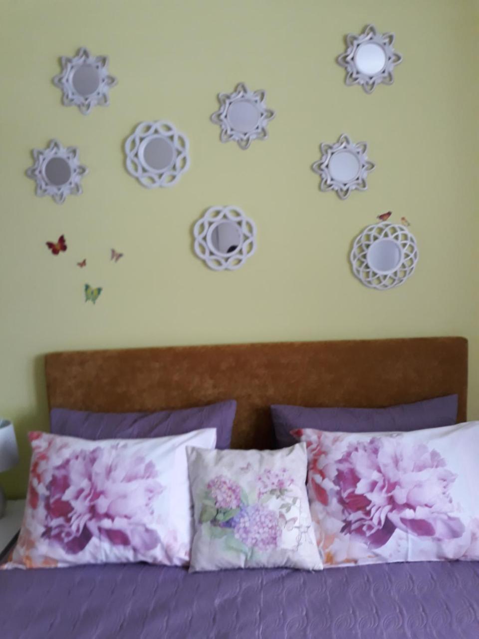 Sweet Butterflies Residence Брашов Екстериор снимка