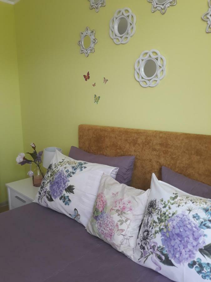 Sweet Butterflies Residence Брашов Екстериор снимка